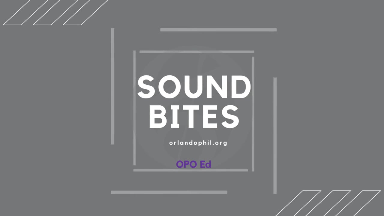 The Woodwind Family Orlando Philharmonic